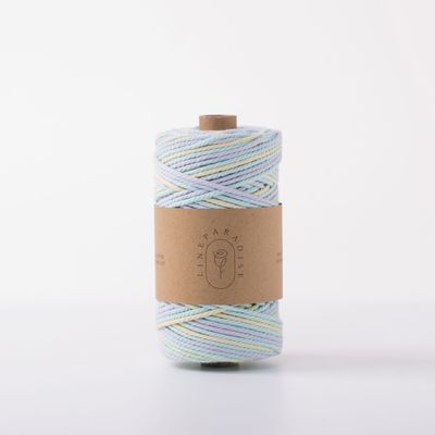 ISO9001 Solid Braided Cotton Rope Kleurrijk 3mm Twisted Macrame Cord