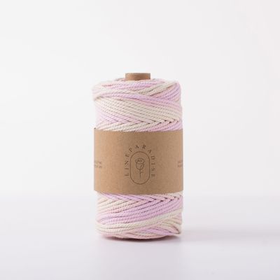 ISO9001 Solid Braided Cotton Rope Kleurrijk 3mm Twisted Macrame Cord