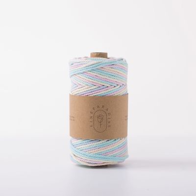 ISO9001 Solid Braided Cotton Rope Kleurrijk 3mm Twisted Macrame Cord