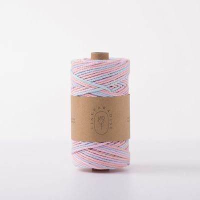 ISO9001 Solid Braided Cotton Rope Kleurrijk 3mm Twisted Macrame Cord