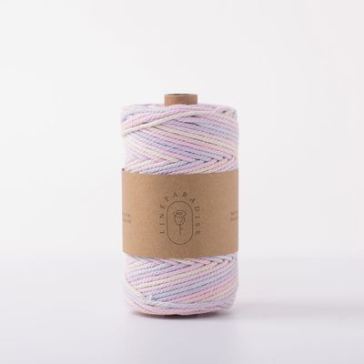 ISO9001 Solid Braided Cotton Rope Kleurrijk 3mm Twisted Macrame Cord