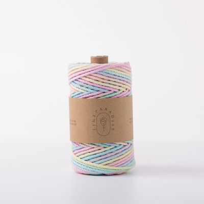 ISO9001 Solid Braided Cotton Rope Kleurrijk 3mm Twisted Macrame Cord