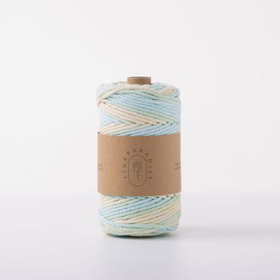 ISO9001 Solid Braided Cotton Rope Kleurrijk 3mm Twisted Macrame Cord