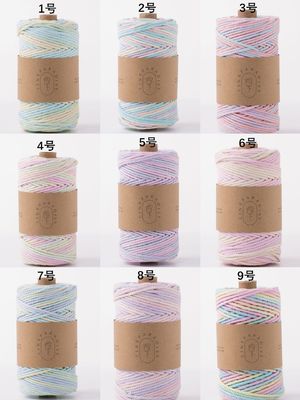 ISO9001 Solid Braided Cotton Rope Kleurrijk 3mm Twisted Macrame Cord