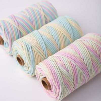 ISO9001 Solid Braided Cotton Rope Kleurrijk 3mm Twisted Macrame Cord