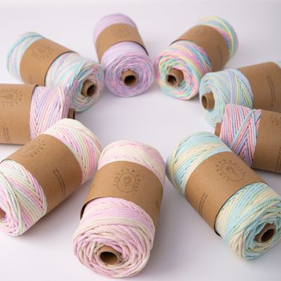 ISO9001 Solid Braided Cotton Rope Kleurrijk 3mm Twisted Macrame Cord