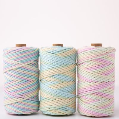 ISO9001 Solid Braided Cotton Rope Kleurrijk 3mm Twisted Macrame Cord
