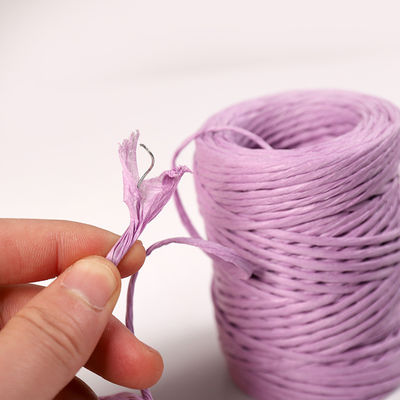IJzerdraad 2 mm papier touw Eco DIY Twisted Paper Cord Biodegradable