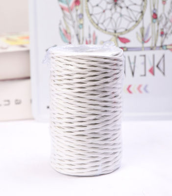 IJzerdraad 2 mm papier touw Eco DIY Twisted Paper Cord Biodegradable