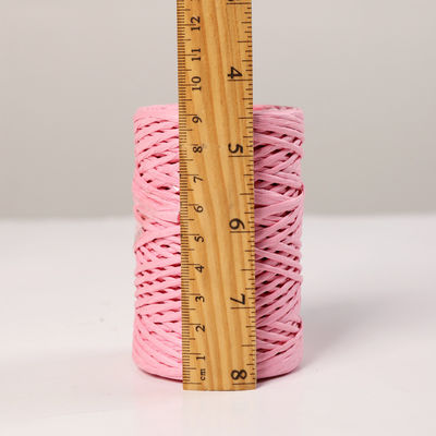 IJzerdraad 2 mm papier touw Eco DIY Twisted Paper Cord Biodegradable