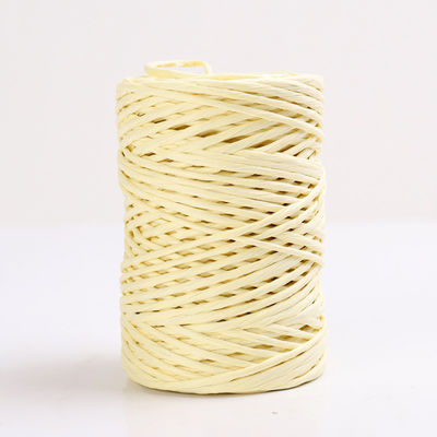 IJzerdraad 2 mm papier touw Eco DIY Twisted Paper Cord Biodegradable
