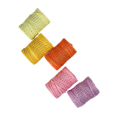 IJzerdraad 2 mm papier touw Eco DIY Twisted Paper Cord Biodegradable