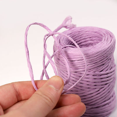 IJzerdraad 2 mm papier touw Eco DIY Twisted Paper Cord Biodegradable