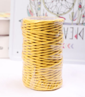 IJzerdraad 2 mm papier touw Eco DIY Twisted Paper Cord Biodegradable
