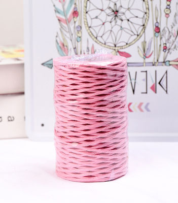 IJzerdraad 2 mm papier touw Eco DIY Twisted Paper Cord Biodegradable